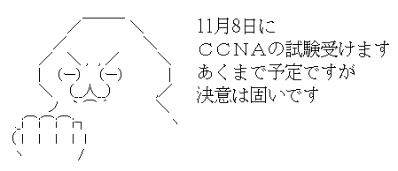 氷河期世代の俺 人生逆転していくvlog ボクのｃｃｎａ試験対策 難しい問題は捨てる